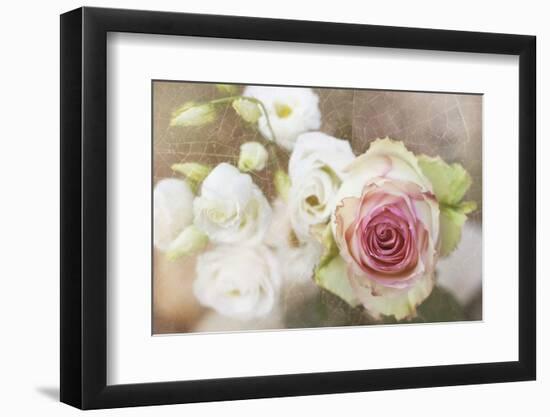 My Friend the Rose-Viviane Fedieu Daniel-Framed Photographic Print