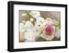 My Friend the Rose-Viviane Fedieu Daniel-Framed Photographic Print