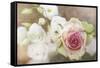 My Friend the Rose-Viviane Fedieu Daniel-Framed Stretched Canvas