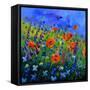 My Garden 88512-Pol Ledent-Framed Stretched Canvas