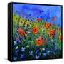 My Garden 88512-Pol Ledent-Framed Stretched Canvas