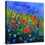 My Garden 88512-Pol Ledent-Stretched Canvas