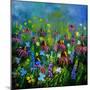 My Garden 8851-Pol Ledent-Mounted Art Print