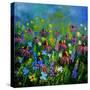 My Garden 8851-Pol Ledent-Stretched Canvas