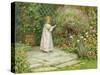 My Garden-William Ashburner-Stretched Canvas