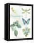 My Greenhouse Botanical II-Lisa Audit-Framed Stretched Canvas