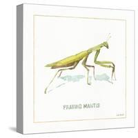 My Greenhouse Pray Mantis-Lisa Audit-Stretched Canvas