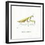 My Greenhouse Pray Mantis-Lisa Audit-Framed Art Print