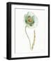 My Greenhouse Single Poppy I-Lisa Audit-Framed Art Print