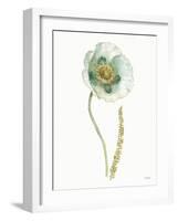 My Greenhouse Single Poppy I-Lisa Audit-Framed Art Print