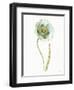 My Greenhouse Single Poppy I-Lisa Audit-Framed Art Print