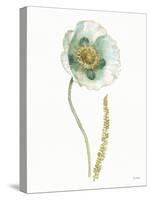 My Greenhouse Single Poppy I-Lisa Audit-Stretched Canvas