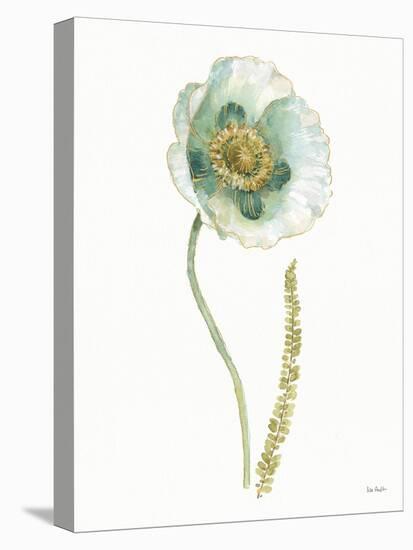 My Greenhouse Single Poppy I-Lisa Audit-Stretched Canvas