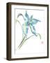 My Happiness-Nan Rae-Framed Art Print