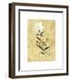 My Honey Flower-Dominique Gaudin-Framed Giclee Print