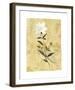 My Honey Flower-Dominique Gaudin-Framed Giclee Print