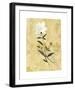 My Honey Flower-Dominique Gaudin-Framed Giclee Print