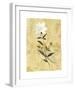 My Honey Flower-Dominique Gaudin-Framed Giclee Print