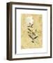 My Honey Flower-Dominique Gaudin-Framed Art Print