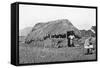 My House in Camp on the Guaso Nyiro, from 'Big Game Shooting on the Equator', 1908-Francis Arthur Dickinson-Framed Stretched Canvas