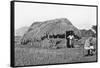 My House in Camp on the Guaso Nyiro, from 'Big Game Shooting on the Equator', 1908-Francis Arthur Dickinson-Framed Stretched Canvas