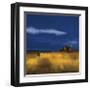 My House-Tandi Venter-Framed Giclee Print