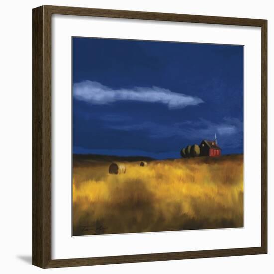 My House-Tandi Venter-Framed Giclee Print