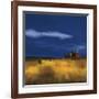 My House-Tandi Venter-Framed Giclee Print