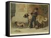 My Lady's Pets-John Charles Dollman-Framed Stretched Canvas