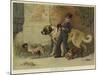 My Lady's Pets-John Charles Dollman-Mounted Giclee Print