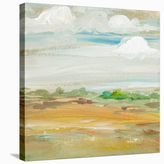 My Land IV-Robin Maria-Stretched Canvas