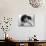 My Life To Live, (aka Vivre Sa Vie), Anna Karina, 1962-null-Mounted Photo displayed on a wall