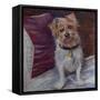 My little dog on silk cushion,  pastel-Margo Starkey-Framed Stretched Canvas