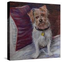 My little dog on silk cushion,  pastel-Margo Starkey-Stretched Canvas