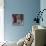 My little dog on silk cushion,  pastel-Margo Starkey-Stretched Canvas displayed on a wall