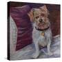 My little dog on silk cushion,  pastel-Margo Starkey-Stretched Canvas