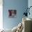My little dog on silk cushion,  pastel-Margo Starkey-Giclee Print displayed on a wall