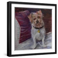 My little dog on silk cushion,  pastel-Margo Starkey-Framed Giclee Print