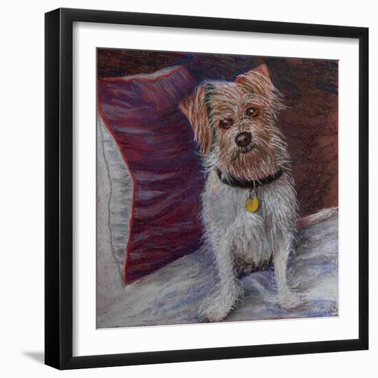 My little dog on silk cushion,  pastel-Margo Starkey-Framed Giclee Print