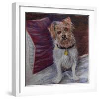 My little dog on silk cushion,  pastel-Margo Starkey-Framed Giclee Print