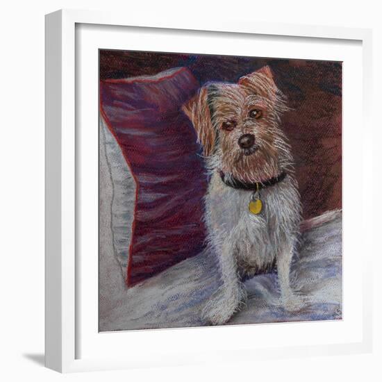 My little dog on silk cushion,  pastel-Margo Starkey-Framed Giclee Print