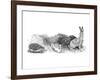 My Little Doll-Arthur Hughes-Framed Premium Giclee Print