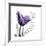 My Love Tulip-Albert Koetsier-Framed Premium Giclee Print