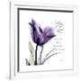 My Love Tulip-Albert Koetsier-Framed Premium Giclee Print