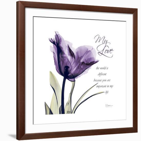 My Love Tulip-Albert Koetsier-Framed Premium Giclee Print