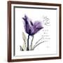 My Love Tulip-Albert Koetsier-Framed Premium Giclee Print