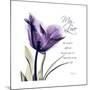 My Love Tulip-Albert Koetsier-Mounted Premium Giclee Print