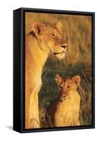 My Mom and I-Susann Parker-Framed Stretched Canvas