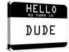 My Name Is Dude-null-Stretched Canvas