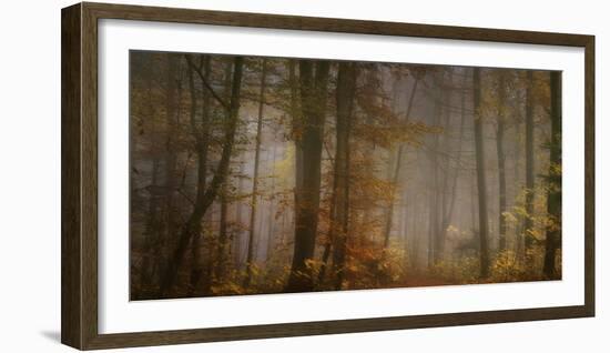 My November-Norbert Maier-Framed Photographic Print